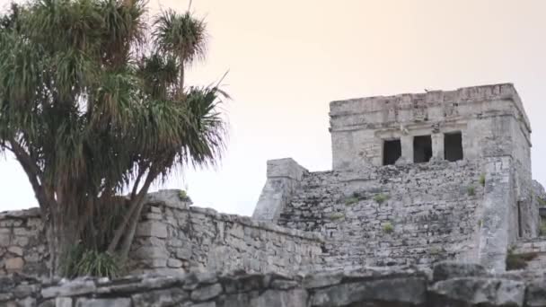Ruines Mayas Tulum Sur Yucatan Mexique — Video