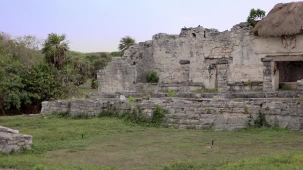 メキシコのユカタンにあるトゥルム マヤ遺跡 — ストック動画