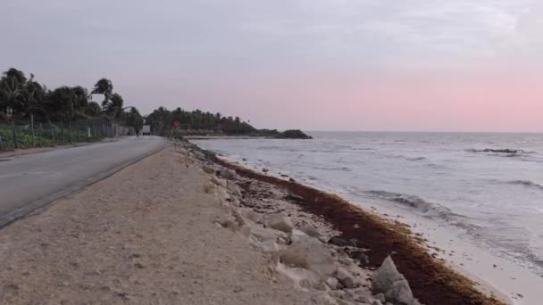 メキシコのコスメル島の美しい 空のビーチ — ストック動画