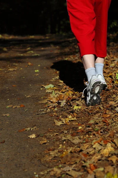 Donna che cammina pista di fondo nella foresta autunnale — Foto Stock