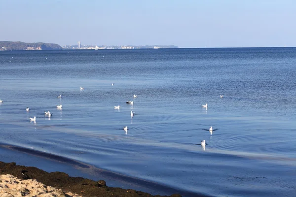 Paisagem azul do mar ao ar livre - Polónia Europa Gdynia — Fotografia de Stock