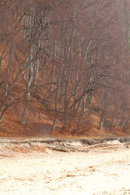 sonbahar park bankında