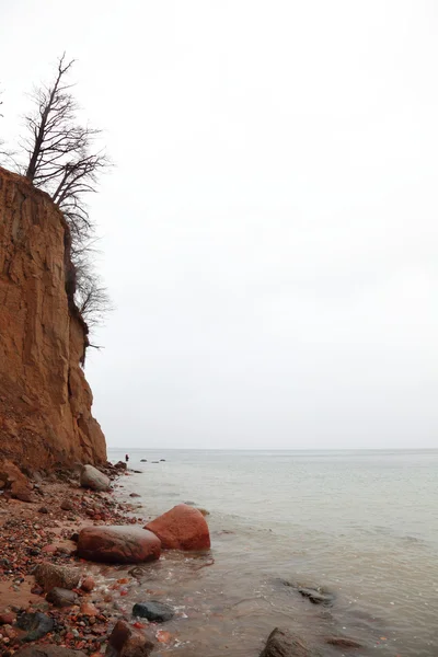 Herfst klif in orlowo, gdynia, Polen — Stockfoto