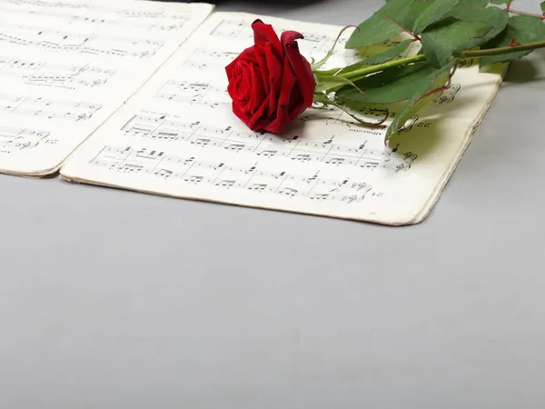 Red rose and old notes Sheet music — Stock Photo, Image