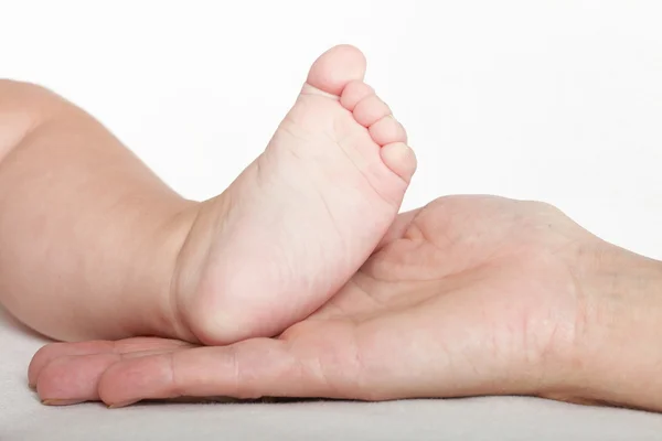 Pied bébé entre les mains de la mère — Photo