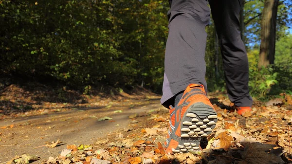 Muž chodící běžecké stopy v podzimním lese — Stock fotografie