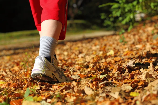 Kvinnan promenader argt land trail i höst skog — Stockfoto