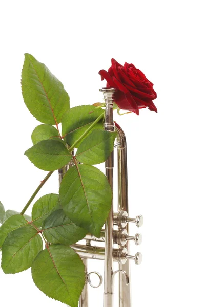 Red rose and old trumpet — Stock Photo, Image