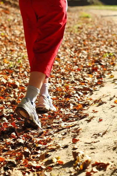 Donna che cammina pista di fondo nella foresta autunnale — Foto Stock