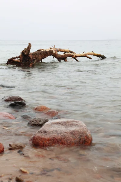 Pietre in acqua di mare autunno — Foto Stock