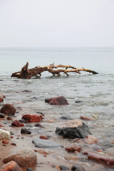 Piedras en el agua de mar otoño —  Fotos de Stock