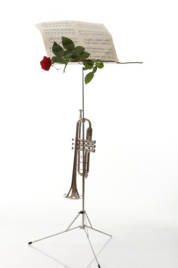 kırmızı gül ve eski levha müzik notları