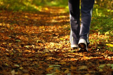 Woman walking cross country trail in autumn forest clipart