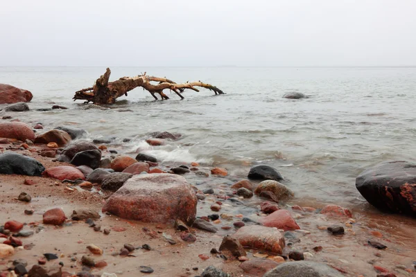 Stones in sea water autumn — Stock Photo, Image