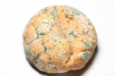 eski ekmek üzerinde büyüyen kalıp