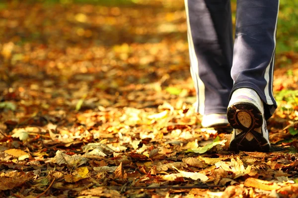 Mulher caminhando atravessar trilha país na floresta de outono — Fotografia de Stock