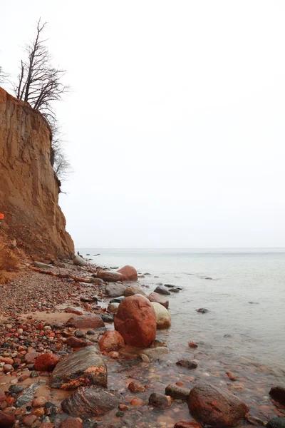 Autumn cliff in Orlowo, Gdynia Poland — Stock Photo, Image