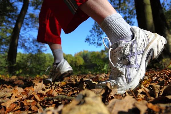 Kvinnan promenader argt land trail i höst skog — Stockfoto