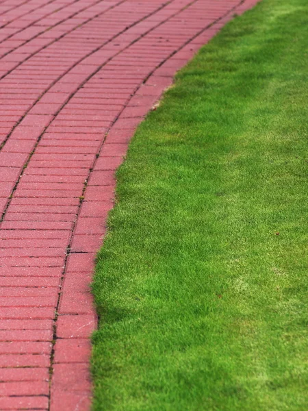 Garden stone path with grass, Brick Sidewalk — Stock Photo, Image