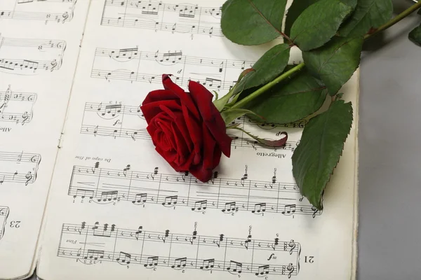 Red rose and old notes Sheet music — Stock Photo, Image