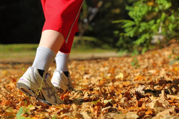 Donna che cammina pista di fondo nella foresta autunnale — Foto Stock