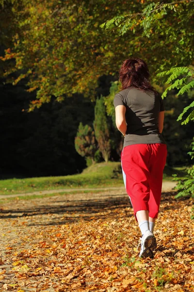 Frau läuft Langlaufloipe im Herbstwald — Stockfoto