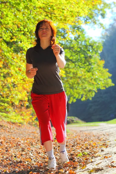 Kvinnan promenader argt land trail i höst skog — Stockfoto