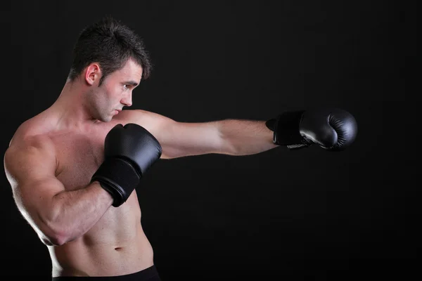 Portrait sportsman boxer in studio dark background Royalty Free Stock Images