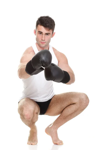 Изолированная студийная фотография молодого боксера — стоковое фото
