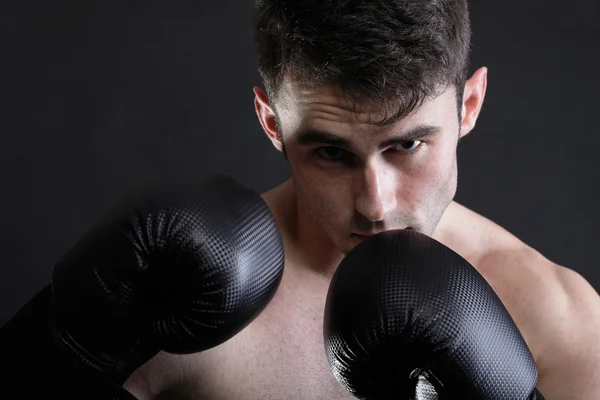 Portrait sportsman boxer in studio dark background — Stock Photo, Image