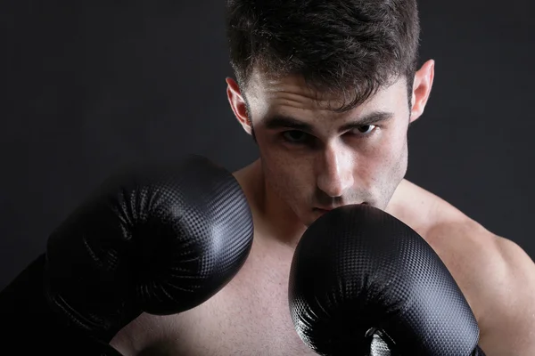 Portret sportowca bokser w ciemnym tle studio — Zdjęcie stockowe