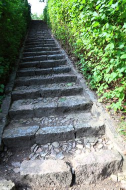 Orman beton merdivenler