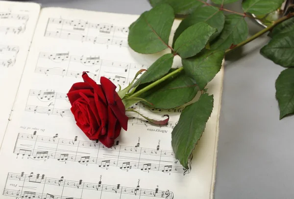 red rose and old notes Sheet music