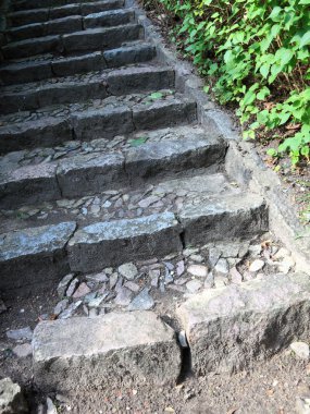 Orman beton merdivenler