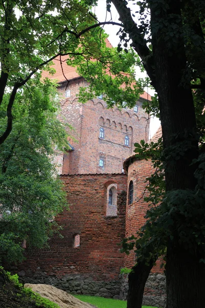 Poland old castle Nidzica — Stock Photo, Image