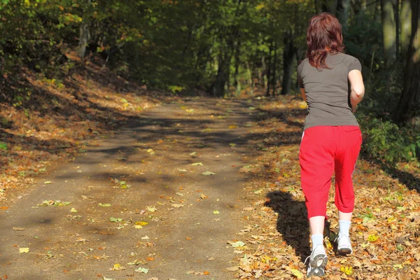 Donna che cammina pista di fondo nella foresta autunnale — Foto Stock