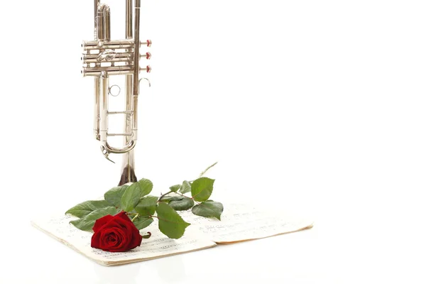 Rode rose en oude notities bladmuziek trompet — Stockfoto