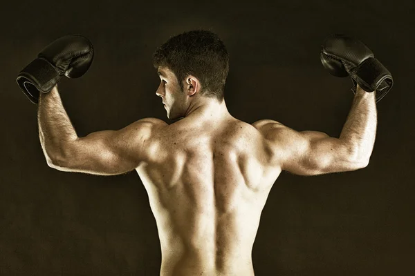 Boxeador retrato deportista en estudio fondo oscuro —  Fotos de Stock
