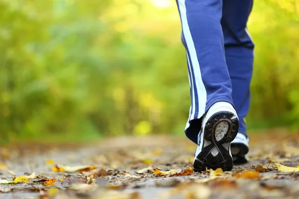 Kvinnan promenader argt land trail i höst skog — Stockfoto