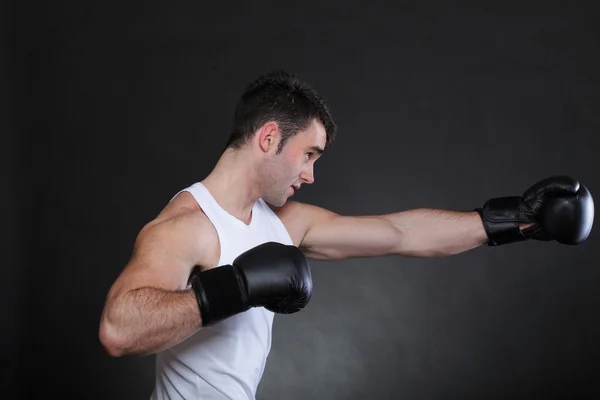 Porträtt sportsman boxare i studio mörk bakgrund — Stockfoto