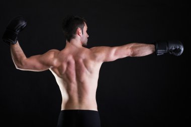 portre sporcu boxer studio koyu arka plan