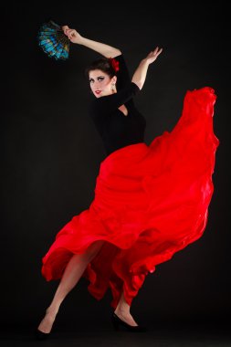 dans. İspanyol Flamenko dans fan kızla