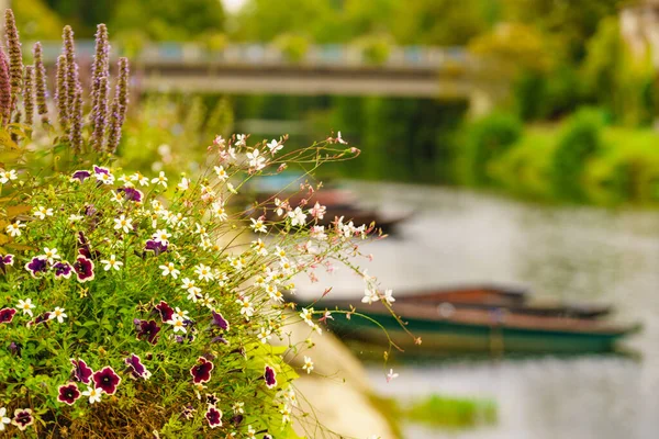 花开在河边 法国新阿基坦地区Deux Sevres的Coulon镇 — 图库照片