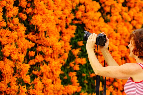 Turista Mujer Madura Tomando Fotos Flores Naranjas Que Cuelgan Sobre — Foto de Stock