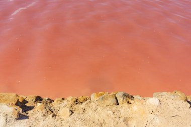 Las Salinas de San Pedro del Pinatar 'ın bölgesel rezervinde pembe su tuzlu havuzu, Murcia, İspanya