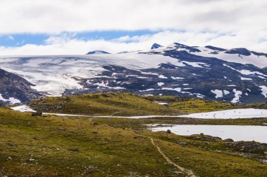 Spor aktivitesi. Norveç 'in Lom ve Luster kentleri arasındaki 55 Sognefjellet ulusal turizm rotasında kayak. Çalışan insanlar.
