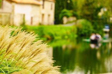 Arka planda çim, nehir ve Coulon kasabası var. Deux Sevres, Yeni Aquitaine bölgesi, Fransa