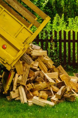Kamyon odun indiriyor, odun atıyor. Kış için hazırlık.