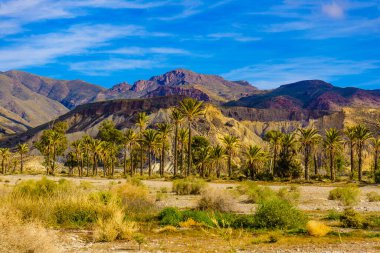 Sierra Alhamilla sıradağlarında palmiye ağaçları olan manzara, İspanya.