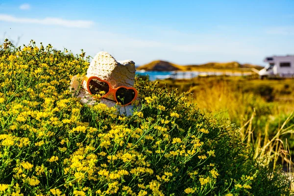 Sommarmössa Gula Blommor Havskusten Och Husbil Camping Stranden Fjärran Spanien — Stockfoto